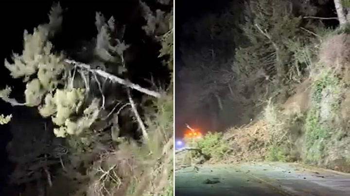 Rock landslide covers street with trees and debris in California