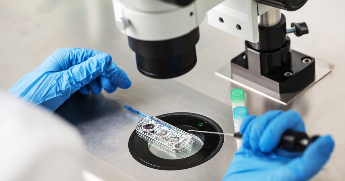 Alabama ruling on frozen embryos and Capital One-Discover merger: Morning Rundown