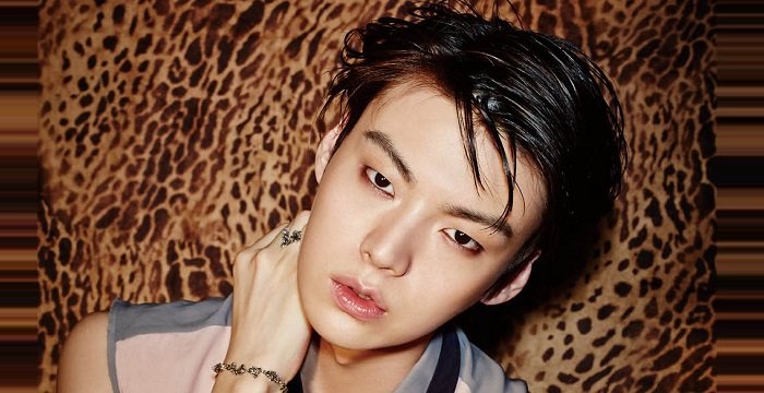 Ahn Jae-hyun Bio, Early Life, Career, Net Worth and Salary