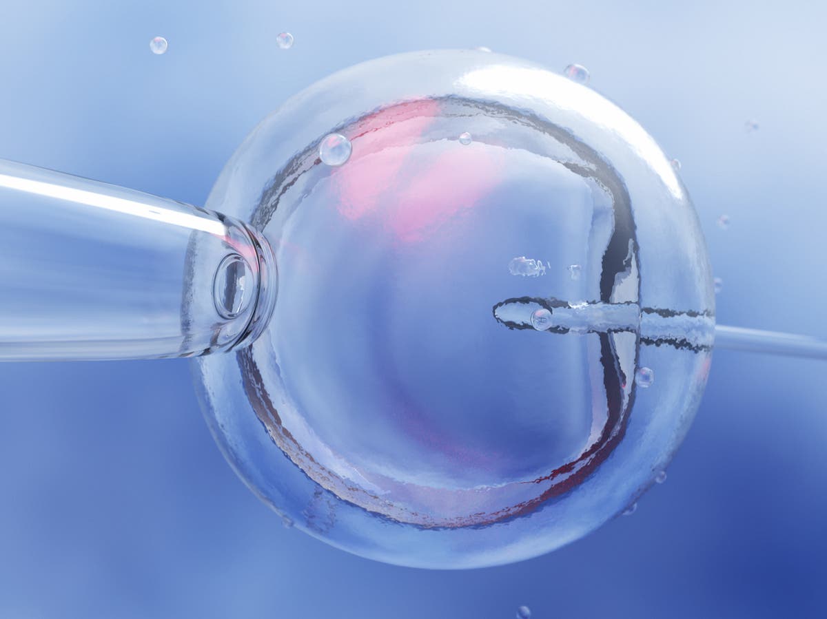 Alabama’s IVF ruling is already preventing people having children