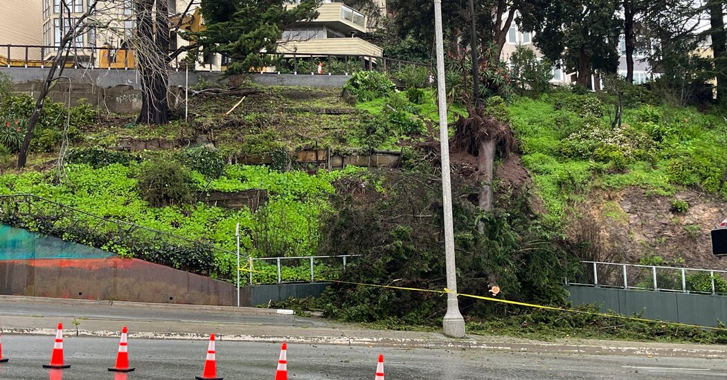Blustery Day Leads to Damage in the San Francisco Bay Area