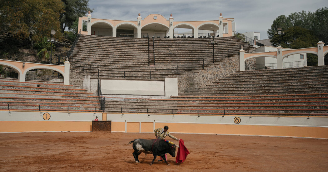 Bullfighting in the Arena and Battling Outside of It