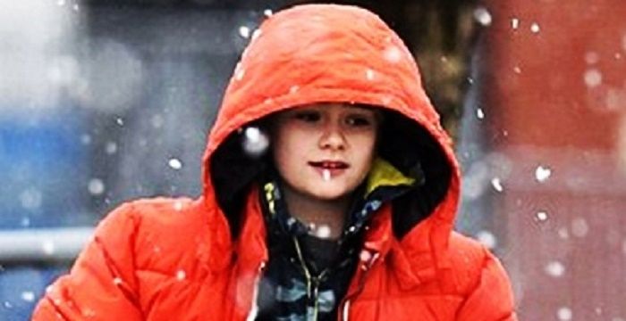 Harry McDermott Bio, Early Life, Career, Net Worth and Salary