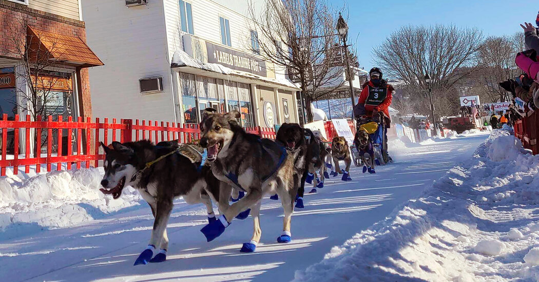 Lack of Snow Prompts Cancellation of Longest Sled Dog Race in Eastern U.S.