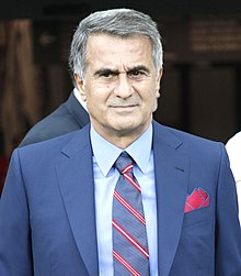 Şenol Güneş Biography, Age, Height, Wife, Net Worth and Family