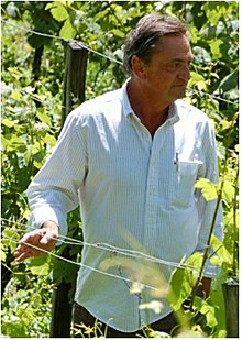 Stefan Karol Estreicher Biography, Age, Height, Wife, Net Worth and Family