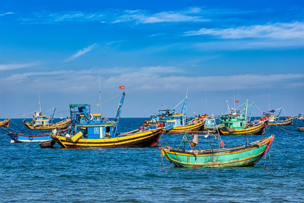 The Asia-Pacific Holds the Key to Tackling Overfishing