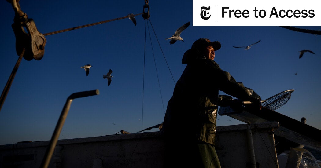 What Stories Do You Want to Read About Asian American Communities?