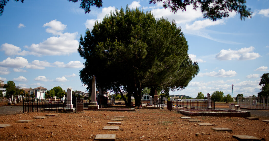 Where to Learn More About Black History in California