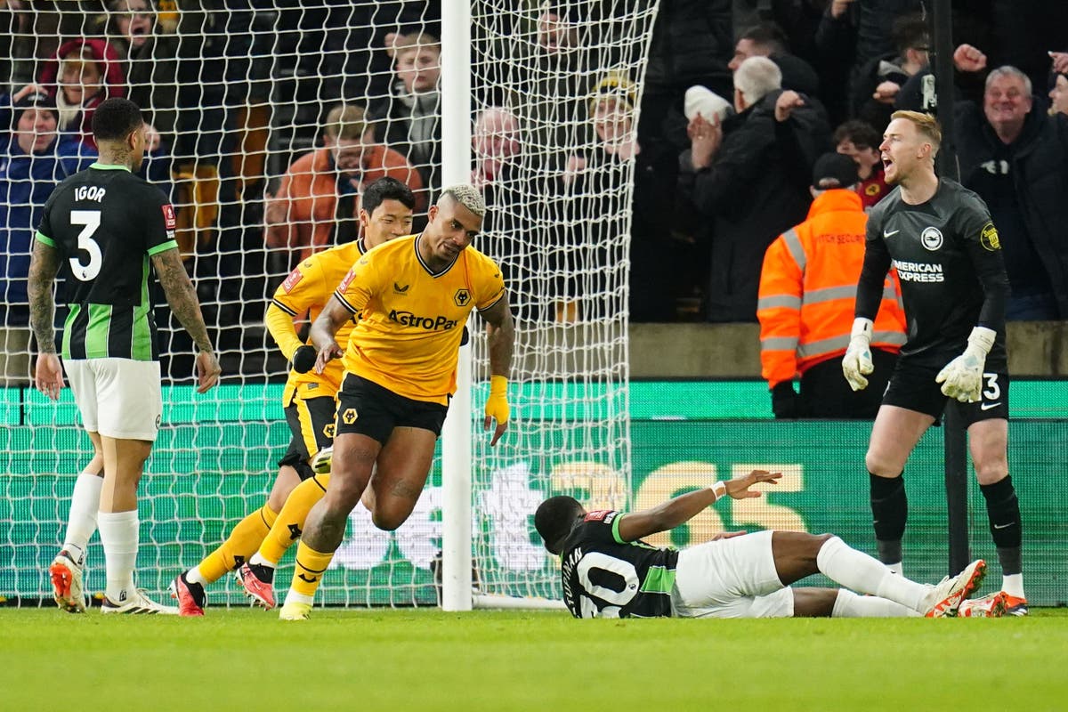 Wolves knock Brighton out of FA Cup thanks to early Mario Lemina strike