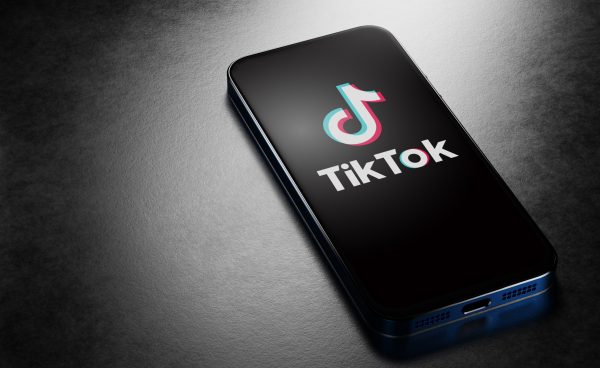 Biden and Senate Democrats May Postpone the TikTok Bill Amid Election Year