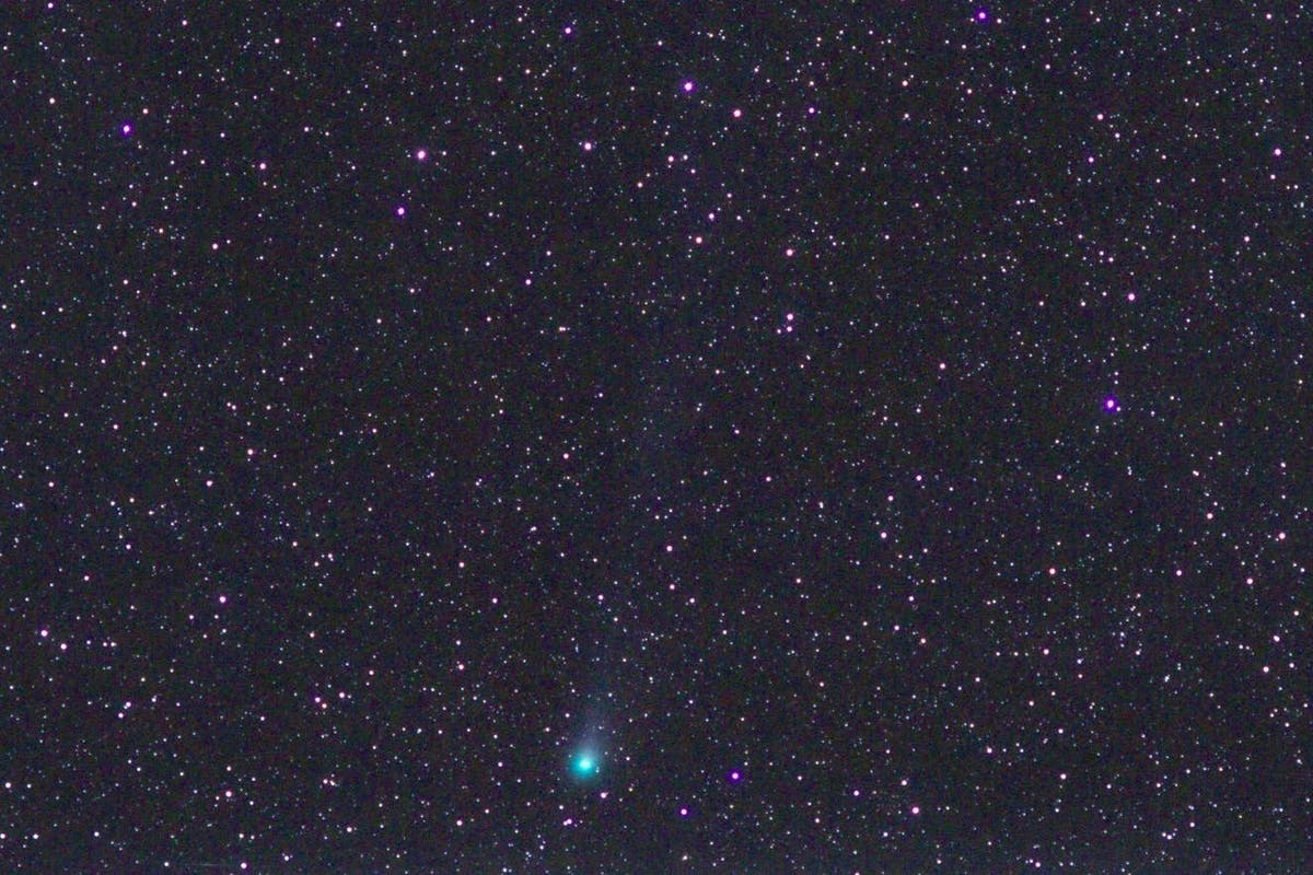 Comet passing by once every 71 years now visible in night sky