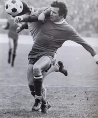 Cornel Georgescu Biography, Age, Height, Wife, Net Worth and Family