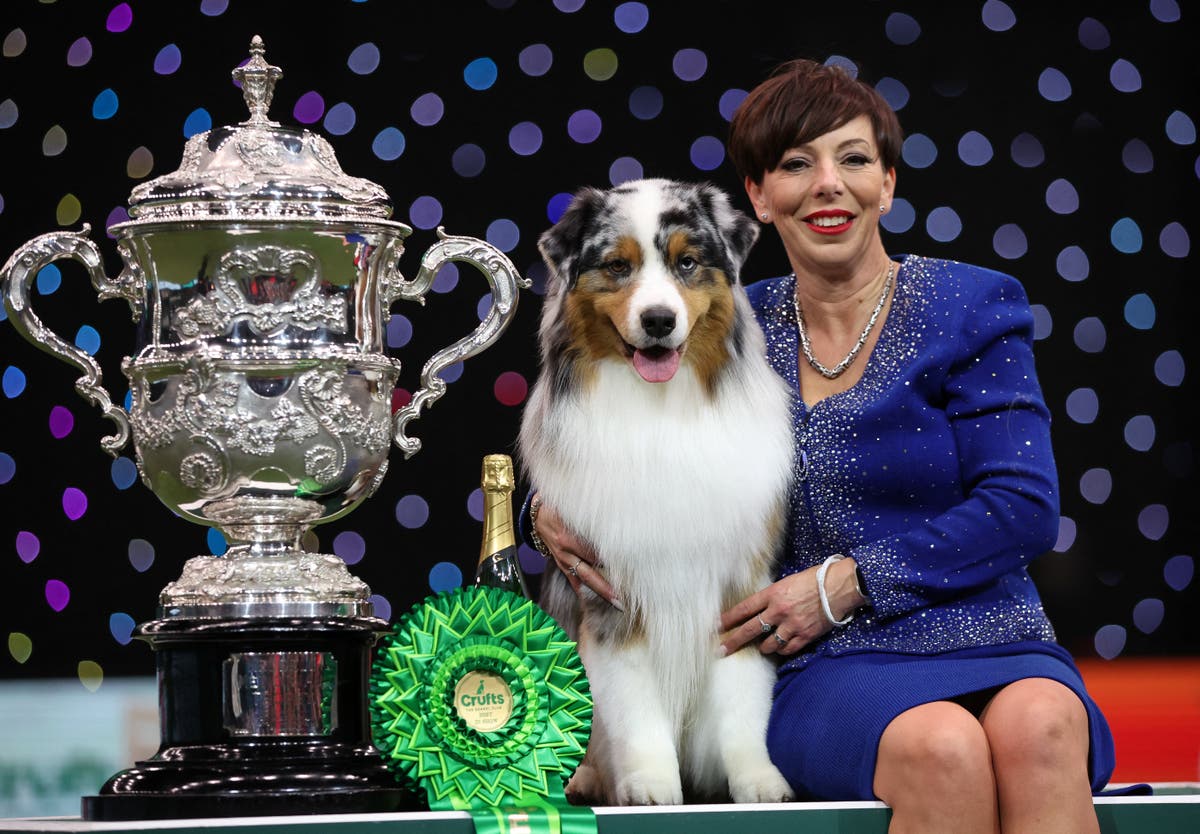 Crufts 2024: Australian shepherd crowned Best in Show at Birmingham’s Oscars