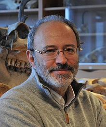 Francesco d'Errico Biography, Age, Height, Wife, Net Worth and Family