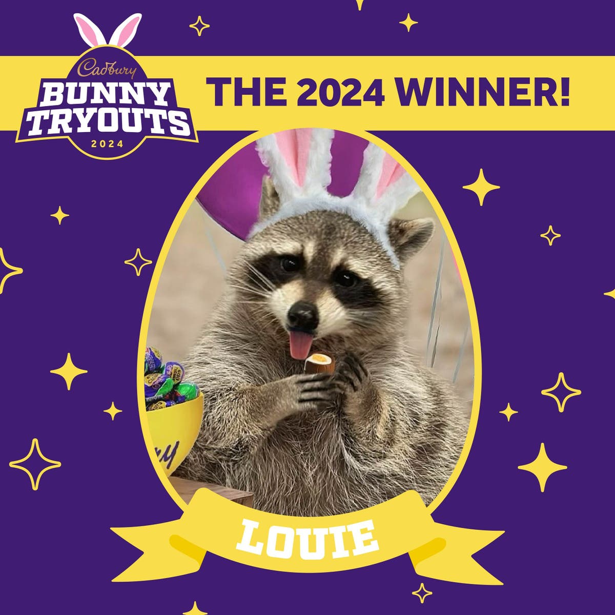 Louie the raccoon named winner of 2024 Cadbury Bunny tryouts