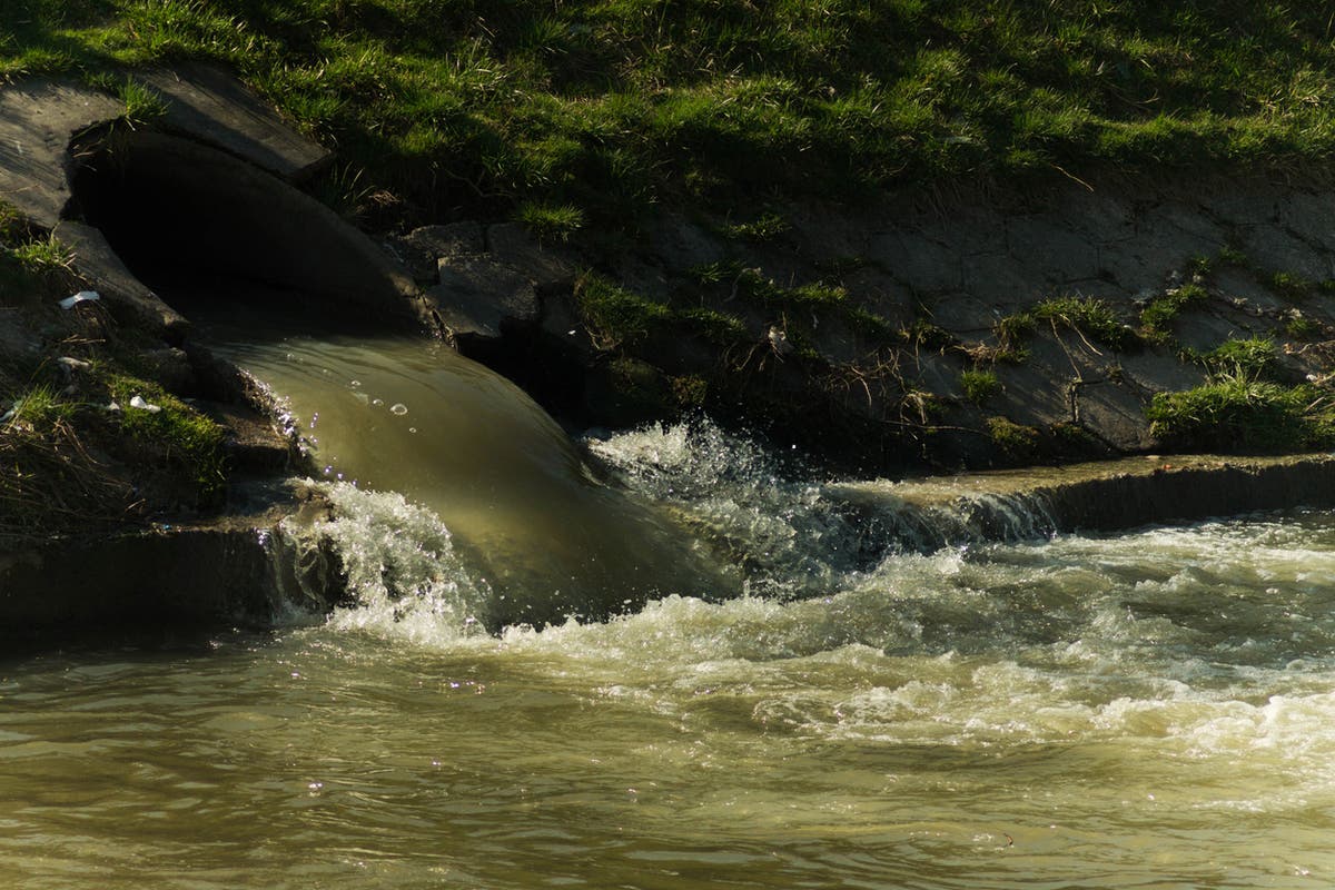 Raw sewage spills into rivers and seas in England reached record high last year