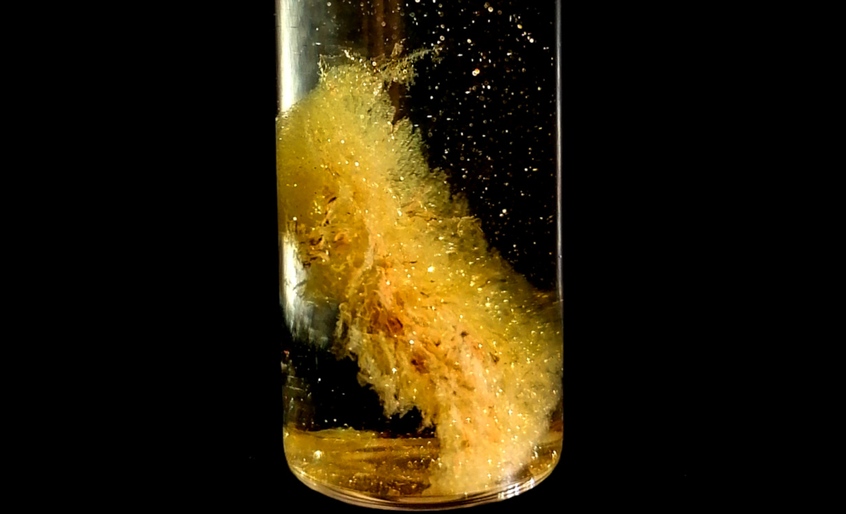 Scientists find way to make fortune from electronic waste