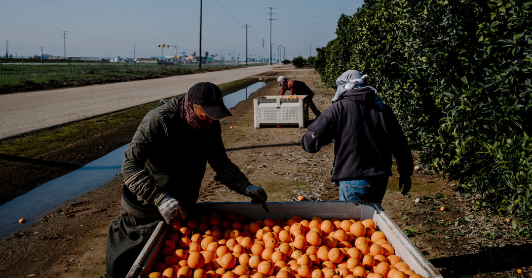 The Best Books About California