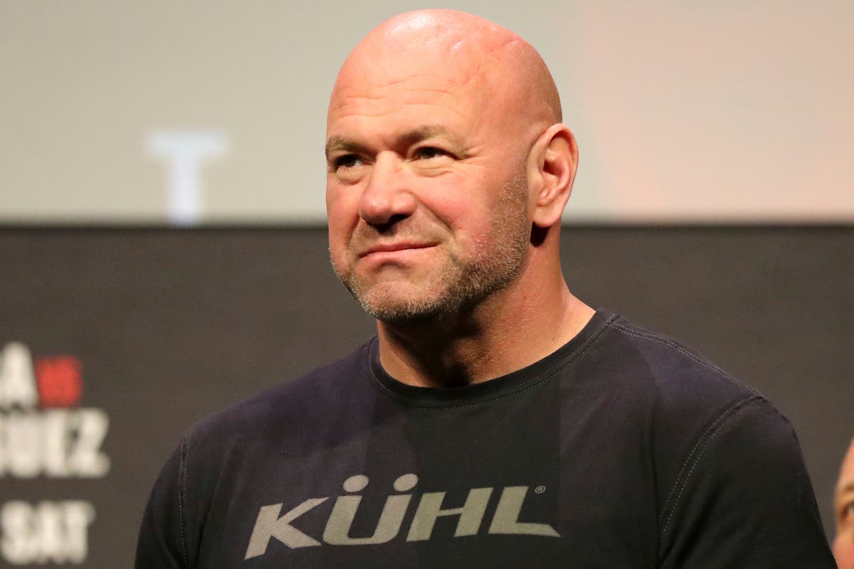UFC president Dana White reacts to Francis Ngannou’s brutal KO loss to Anthony Joshua