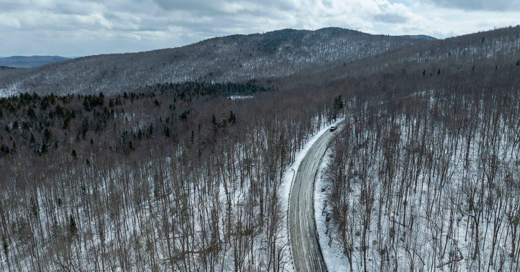 ​Should Wildlife Advocates Help Set Hunting Rules in Vermont?