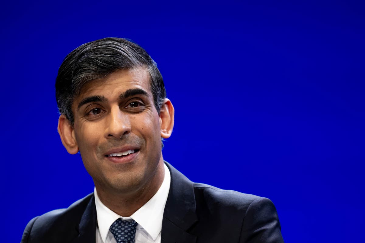 ‘We must face down the extremists’: Rishi Sunak warns British democracy under threat