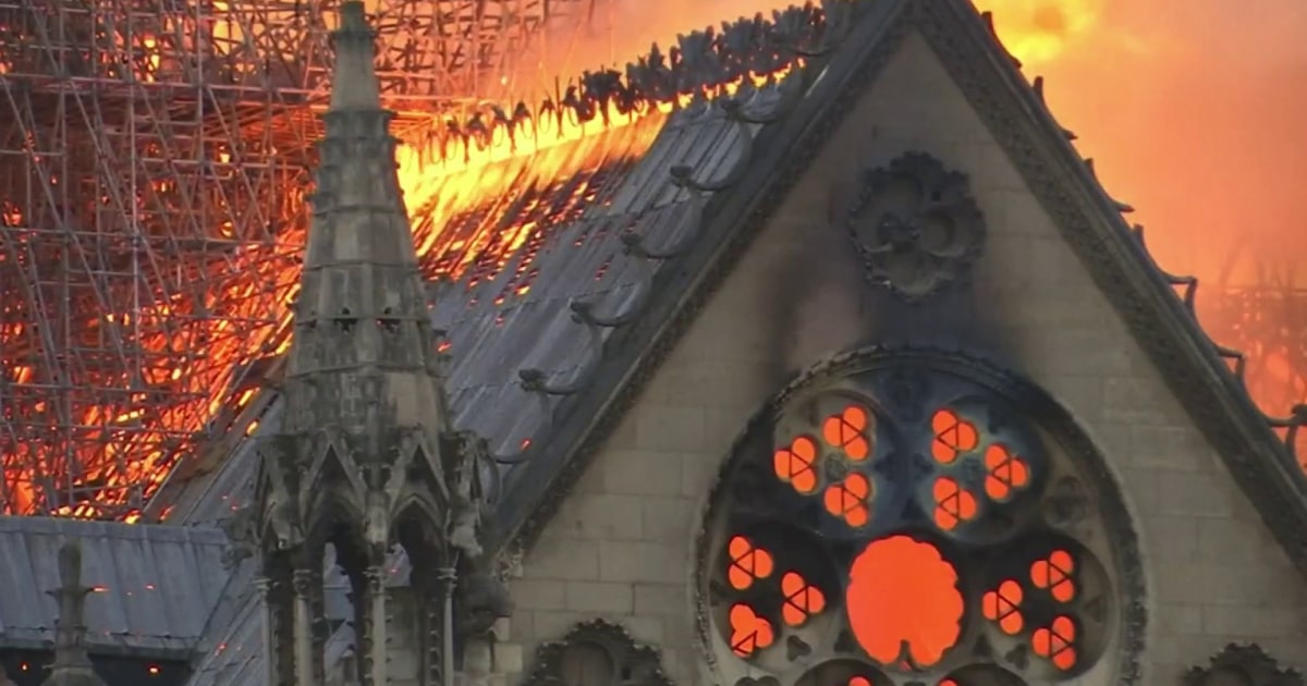 An American in Paris: the carpenter from New England helping rebuild Notre Dame Cathedral