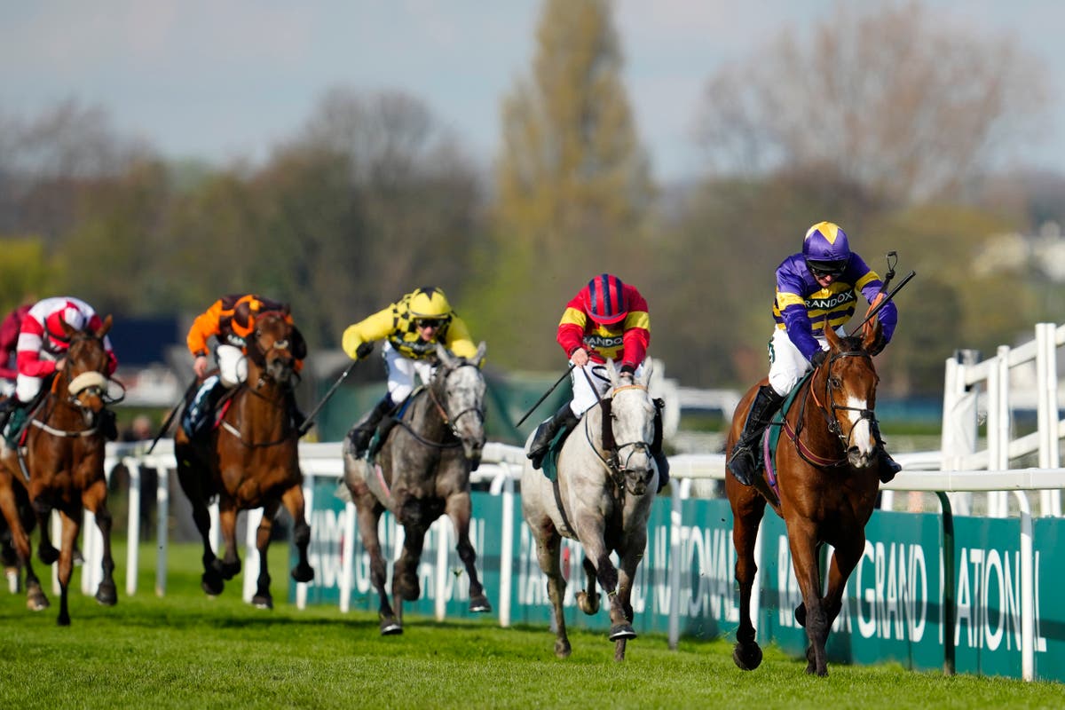 Grand National betting guide: Every horse rated and ranked for the Aintree showpiece