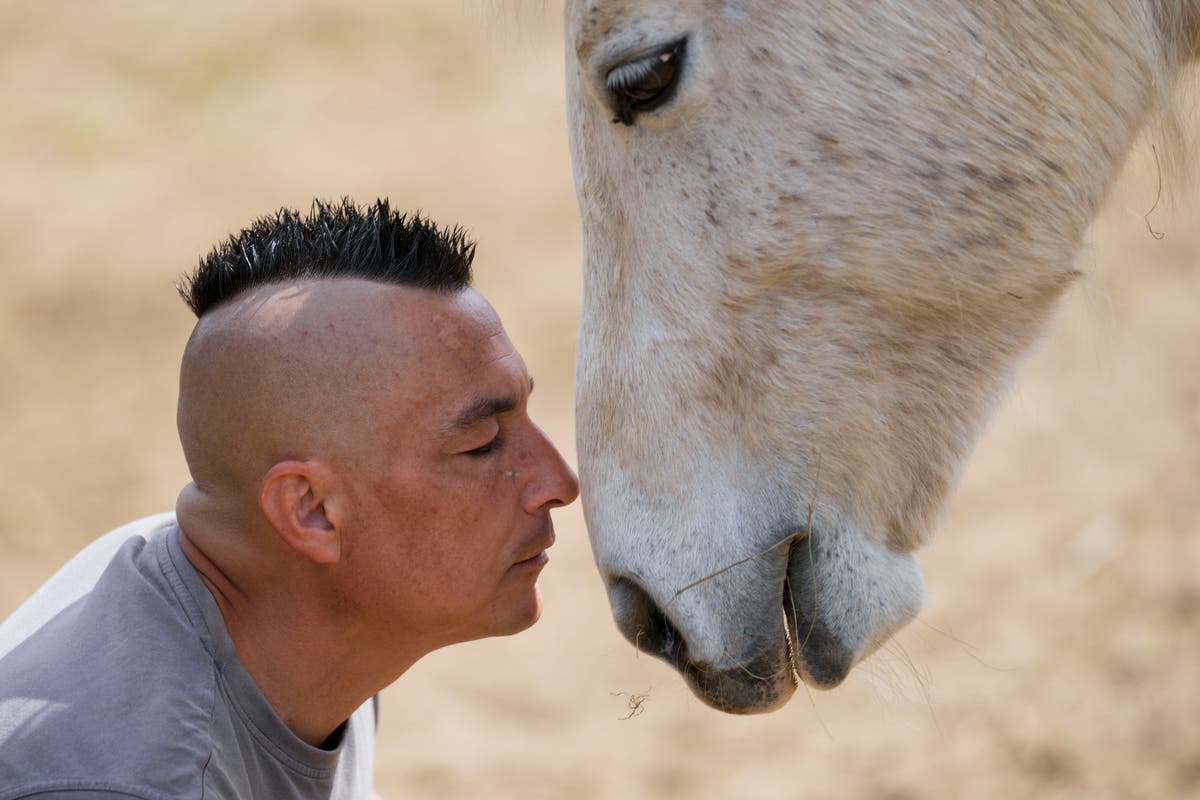 Serbia's only horse sanctuary has cared for dozens of tortured, old and neglected animals